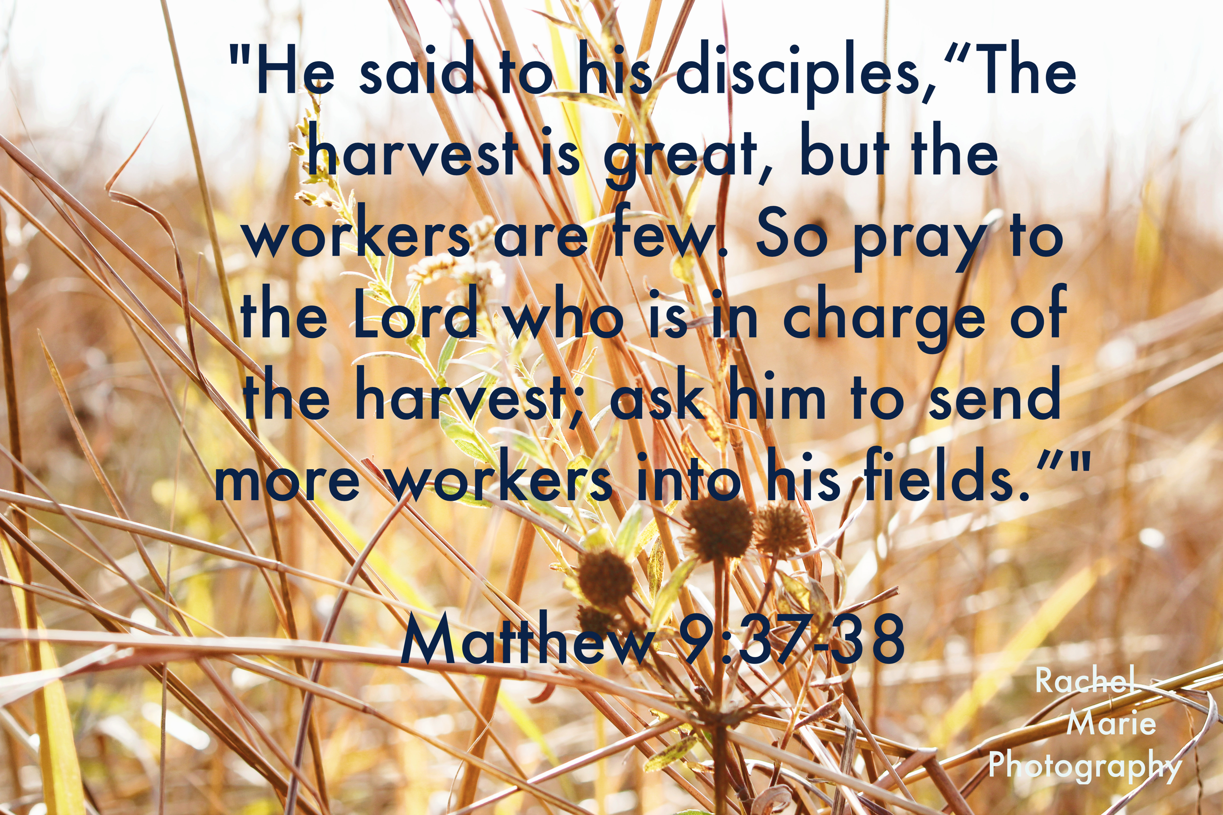 monday motivation july 24 2017